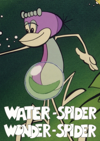 WATER-SPIDER, WONDER-SPIDER